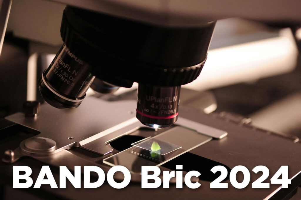 Bando-Bric-2024