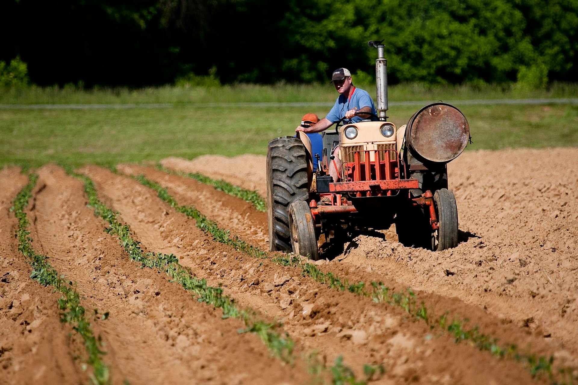 lavorazioni agricole pexels-nc-farm-bureau-mark-2252618